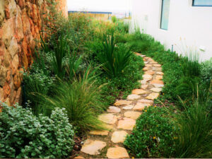 Garden design: Enrich Studio. Newlands and Tokai