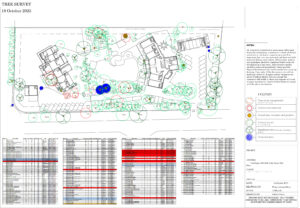 Tree Survey Cape Town